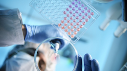 More Than a Brochure: 5 Truths About the Rulebook for Clinical Trials (ICH GCP E6 R3)